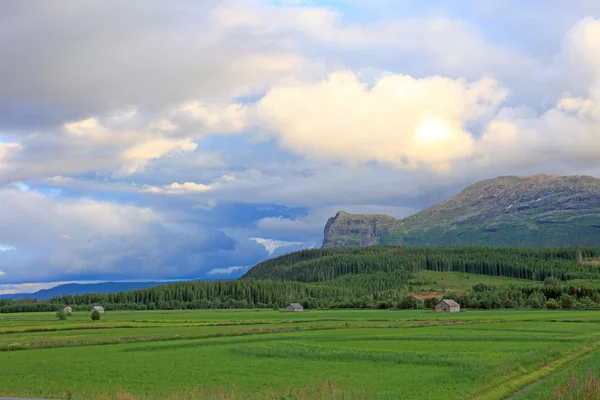 Liten gård hus i dalen. landskap i Norge. — Stockfoto