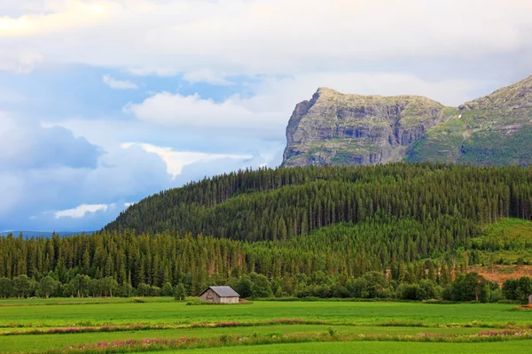 Małe dworki w dolinie. krajobrazy Norwegii. — Zdjęcie stockowe