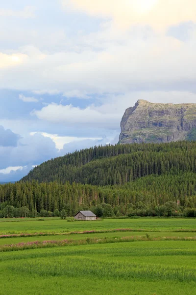 Kleine boerderij huizen in de vallei. landschappen van Noorwegen. — Stockfoto