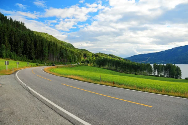 Road from Oslo to Bergen in Norway. Royalty Free Stock Photos