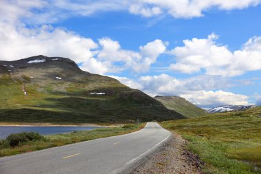 Beautiful landscape on the way from Bergen to Oslo, Norway, Euro clipart