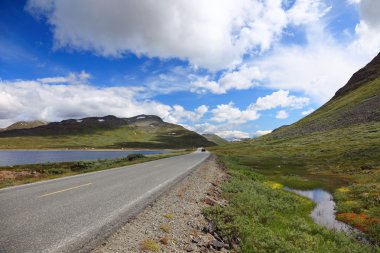 prachtige landschap op de weg van bergen naar oslo, Noorwegen, euro