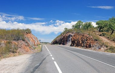 Boş yol ve zeytin ağaçları, Portekiz.