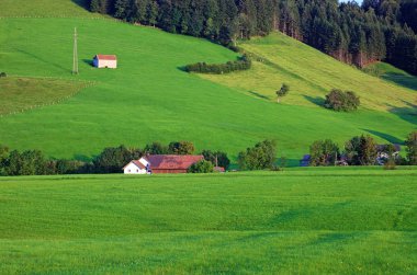 Yeşil dağ hillside, İsviçre, Avrupa.