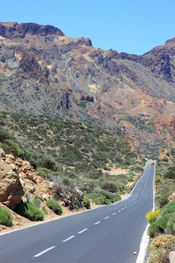 Road through national park el Teide, Tenerife, Spain. clipart