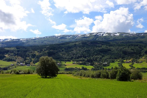 Hermoso paisaje de Noruega en verano, Europa escandinava . — Foto de Stock
