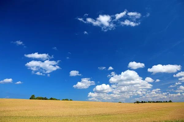 Colorful summer field landscape, Europe. Good as background or b — Stock Photo, Image