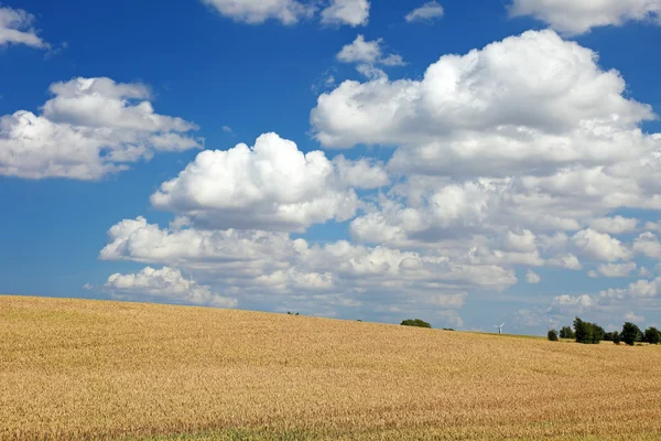 Pole pšenice a modrou oblohu s mraky, Evropa. — Stock fotografie