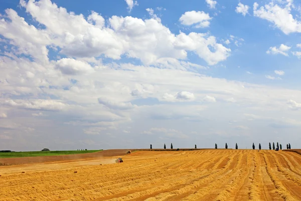 Agricultural landscape, machinery harvesting wheat, Europe. — Stock Photo, Image