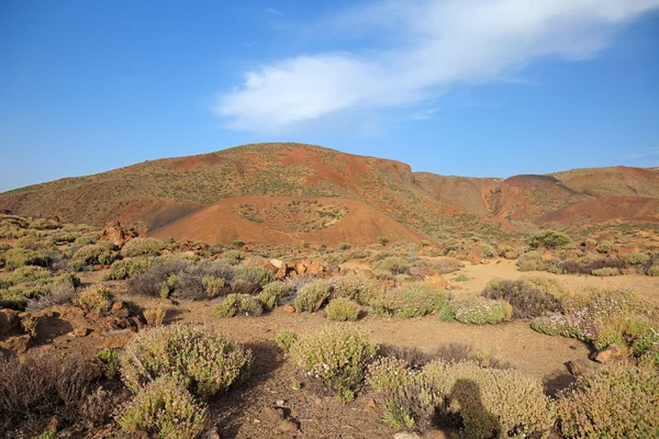 Vulkanische landschap van el teide vulkaan eiland tenerife, Canarische. — Stockfoto