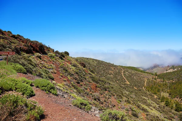 Weg naar el teide vulkaan, Canarische eilanden, tenerife. — Stockfoto