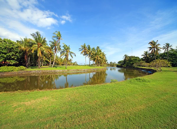 Beautiful tropical park at Bali, Indonesia. — Stock Photo, Image
