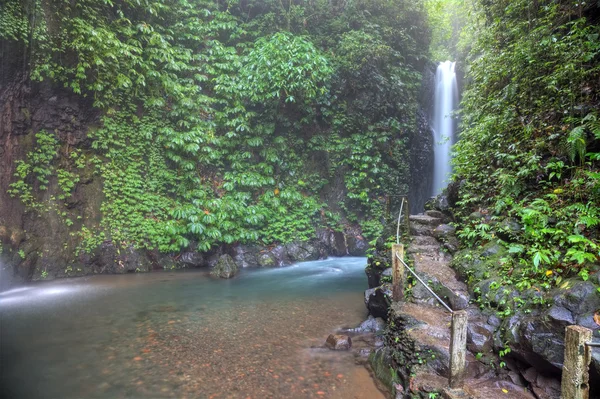 Git-git tropikalnym wodospadem, bali, Indonezja. — Zdjęcie stockowe