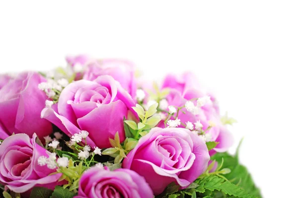 Purple roses — Stock Photo, Image