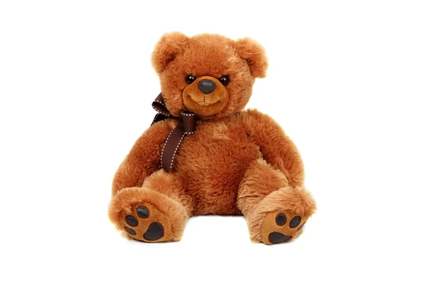 Soft teddy bear toy — Stock Photo, Image