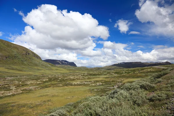 Panoramische foto van Noorse zomer landschap, Scandinavische euro Rechtenvrije Stockfoto's