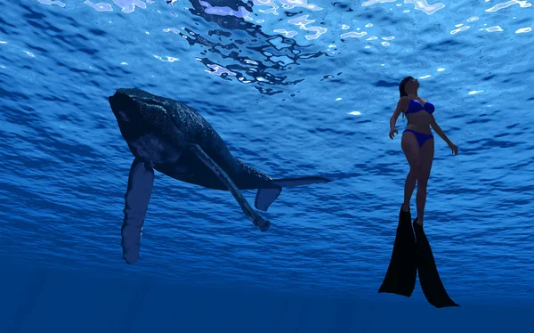 Whale and diver — Stock Photo, Image