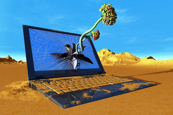 The laptop — Stock Photo, Image