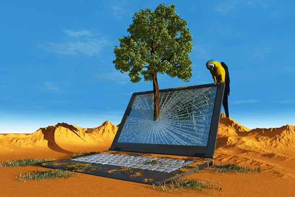 De laptop — Stockfoto