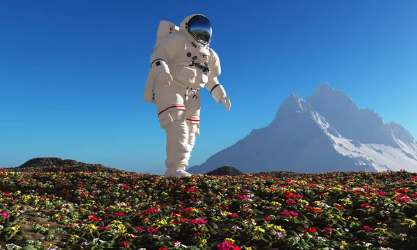 Astronaut gaat op een gebied van bloemen. — Stockfoto