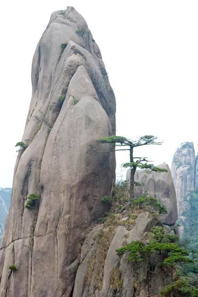 Mount sanqingshan národní park — Stock fotografie
