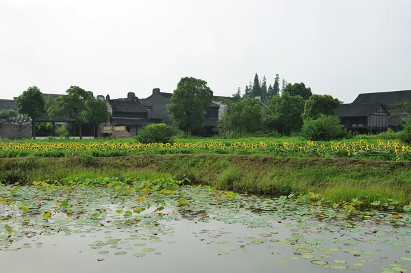 Aldea de China cerca del campo de girasol — Foto de Stock