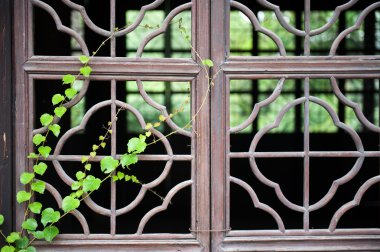 yeşil bitki ile Çin ahşap pencere