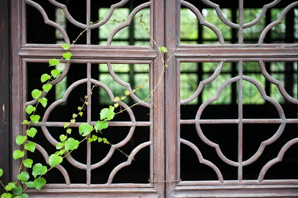 stock image Chinese wooden window with green plant