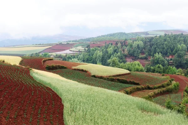 China rurale landschap — Stockfoto
