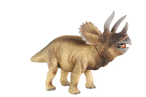 stock image Triceratops