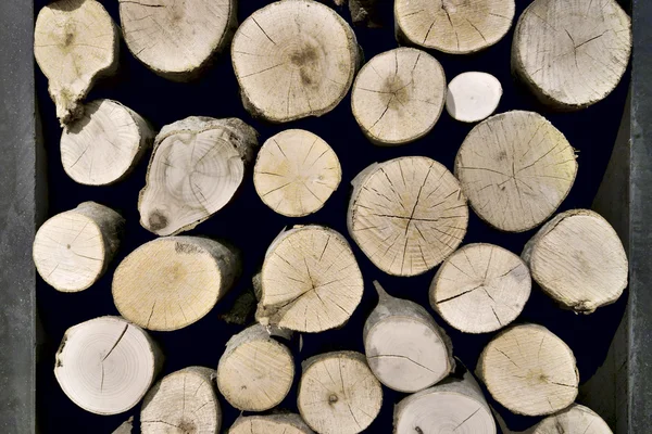 stock image Pile of logs