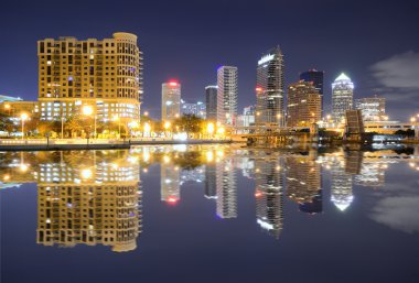 Tampa bay manzarası