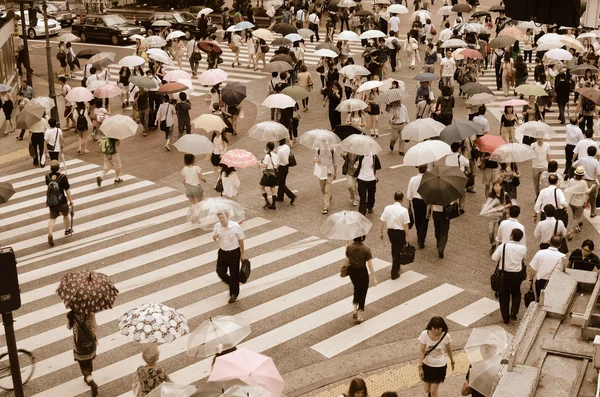 Shibuya-Kreuzung — Stockfoto