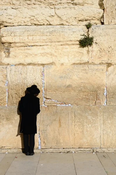 Hassidic Εβραίος προσεύχεται — Φωτογραφία Αρχείου