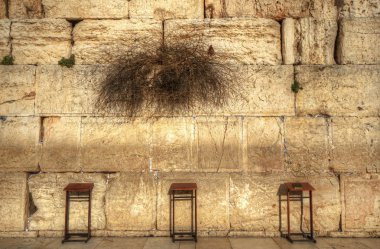 Western Wall clipart