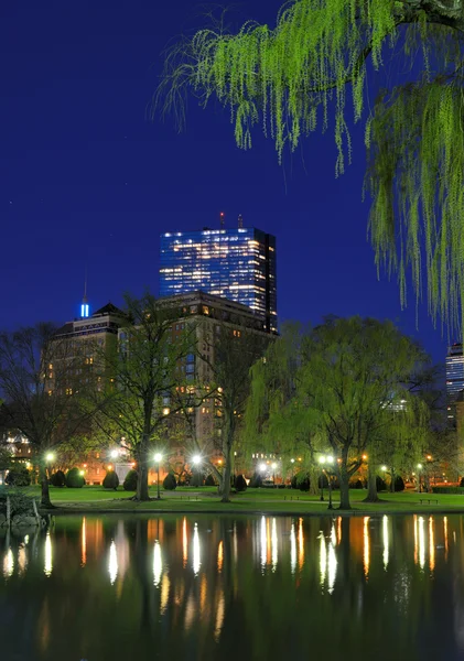 Громадський сад Бостона — стокове фото