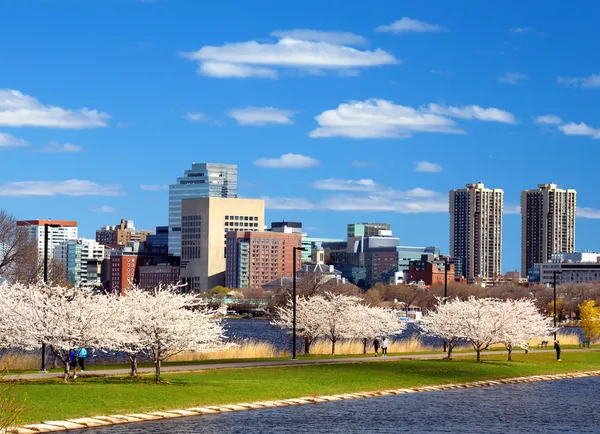 波士顿天际线的春天 — 图库照片