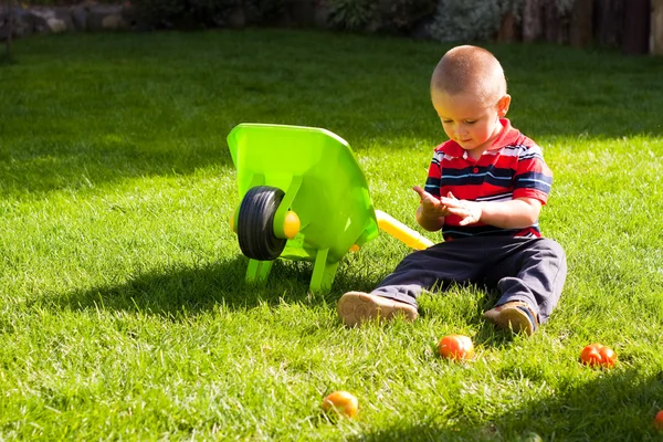 Kleine jongen tuinieren — Stockfoto