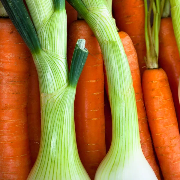 Détail oignons de printemps et carottes — Photo