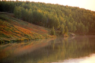rivier in de herfst