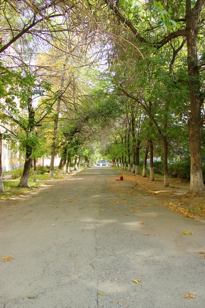 park yolu