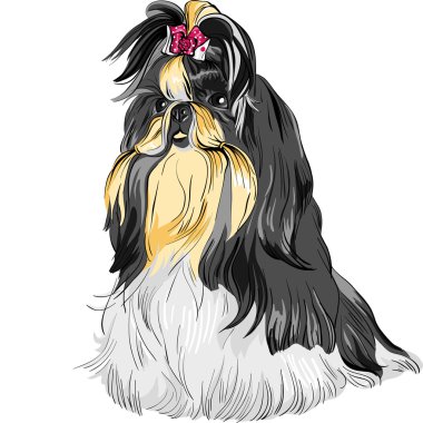 Vector sketch dog Shih Tzu breed clipart