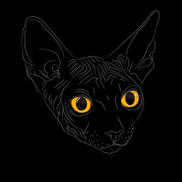 Croquis vectoriel de la race de chat Sphynx — Image vectorielle