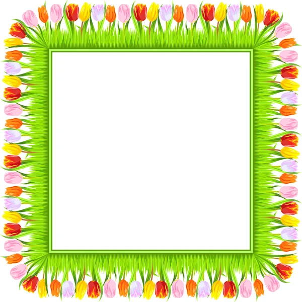 Marco cuadrado vectorial de tulipanes de primavera coloridos en hierba — Archivo Imágenes Vectoriales