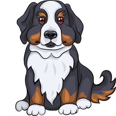 Vector cute Bernese Mountain dog puppy smiles clipart