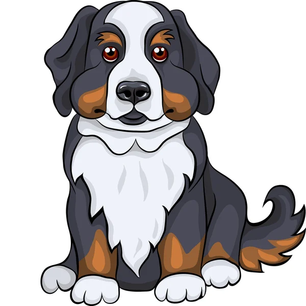 Vector lindo Bernese perro de montaña sonrisas — Vector de stock