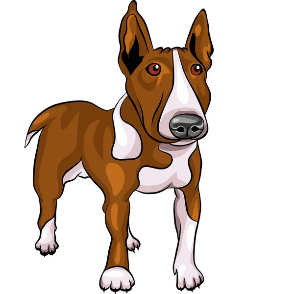 Vector desenho animado Bull Terrier raça cão — Vetor de Stock