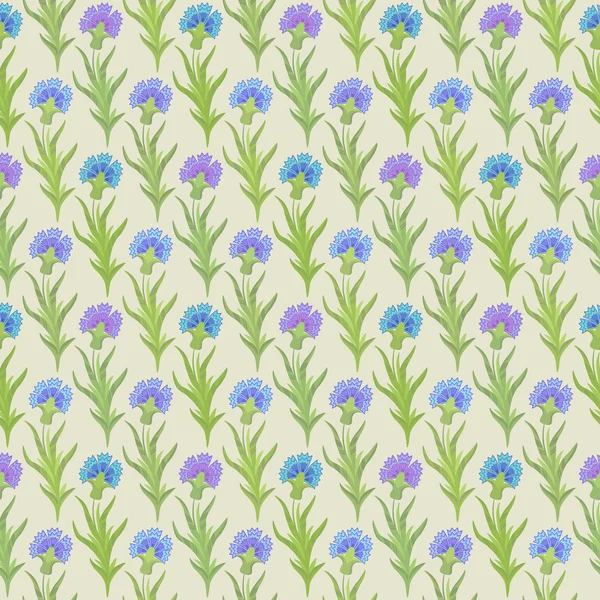 Patrón floral sin costura vectorial con acianos — Archivo Imágenes Vectoriales