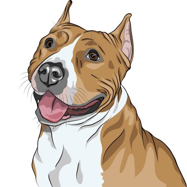 Vector dog American Staffordshire Terrier breed smiles clipart