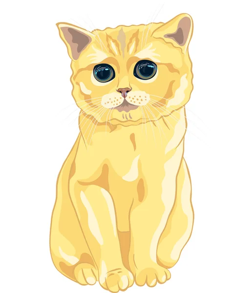 Croquis vectoriel mignon lilas chaton britannique assis — Image vectorielle